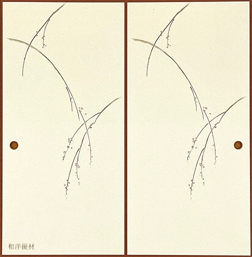 �¡ʤ��餮��No.507