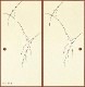 �¡ʤ��餮��No.507