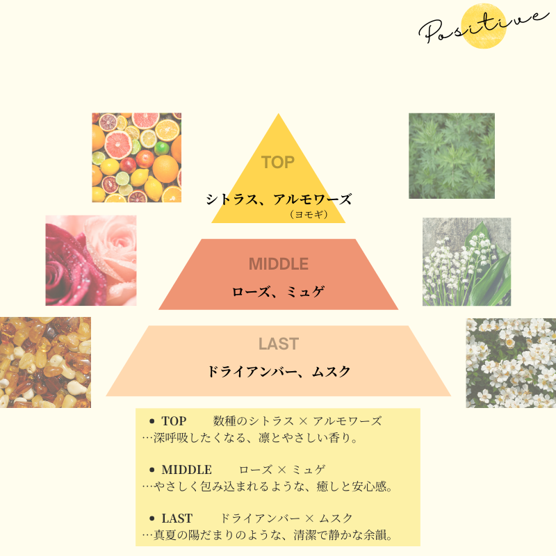 �ڿ��̸����Ways�ݥ��ƥ��֥����ס��Τߡ�300ml