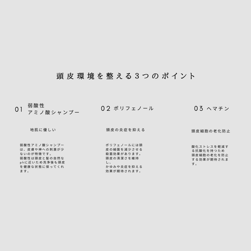 【キャンペーン】3本セットで２０％OFF★FUJINOSATO BASEシャンプー