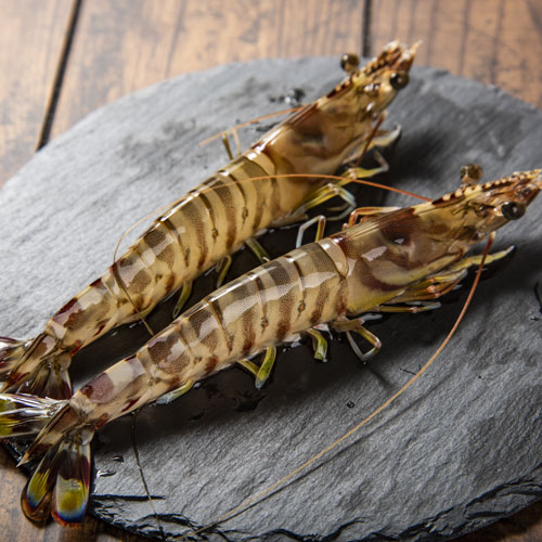 姫島ブランド『活〆車えび』600g | 魚介類・水産加工品 | 技わざ