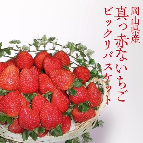 ڲۿ֤γӥåХåȢʹ11ܡ4