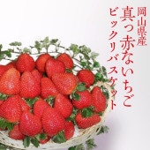 ڲۿ֤γӥåХåȢʹ11ܡ4