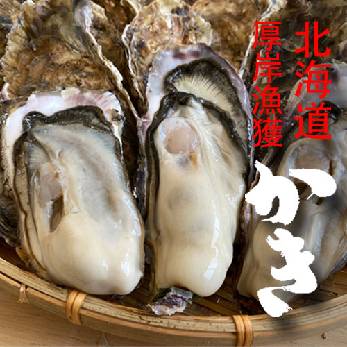 地方住み牡蠣好き大学生 元住吉】牡蠣好きは元住に集合！1111円で60分牡蠣食べ放題「牡蠣