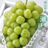 ڲۥѥäƤ뿩ͥ㥤ġ1˼ 700g (γ̵餴) ϴ9ܡ11