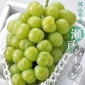 ڲۥѥäƤ뿩ͥ㥤ġ2˼ 1.2kg  (γ̵餴) ϴ9ܡ11