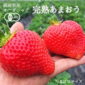 祵۴JASͭǧꡪȰΡ֥˥åϤޤעʹ12ܡ4