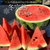 20åȸۥȤιܤ󤬺ߤδϥ ̡עϴ1210