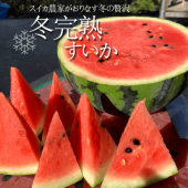 20åȸۥȤιܤ󤬺ߤδϥ 2̡עϴ1210