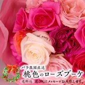 ڥХľ/ߡۥꥹޥΥ֡ס1315ܡˢ12/20-12/25ͽ