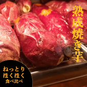 �����٤������ޤ�������2���ֳݤ��ƾƤ�����������Ƥ���֤ͤäȤꡦ�ۥ��ۥ�������٥��åȡס�10�ܡ�20�ܡˢ�1.9kg