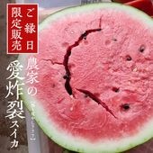 ڤۿ㸩»ְ̥ (פФ䤷777)׼ϴ7/258/10