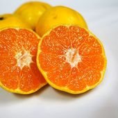 �ڴ�������ľ���۰�ɲ�����ִ�����ߤ���(����)��2.5kg�����ʡ�����Ȣ���� �����ʹ�1����ܡ�