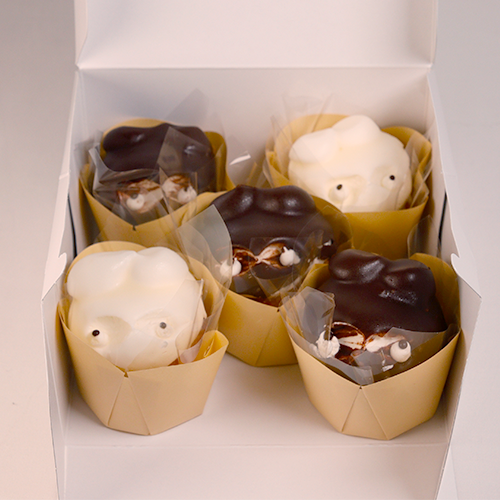 ��3���ָ�������ۡ��ʡ���϶Ȥ���55ǯ�ֺ��³���Ƥ�������������ɺ���־��¤��̤��������ע��вٳ���ͽ�ꡧ1/20~