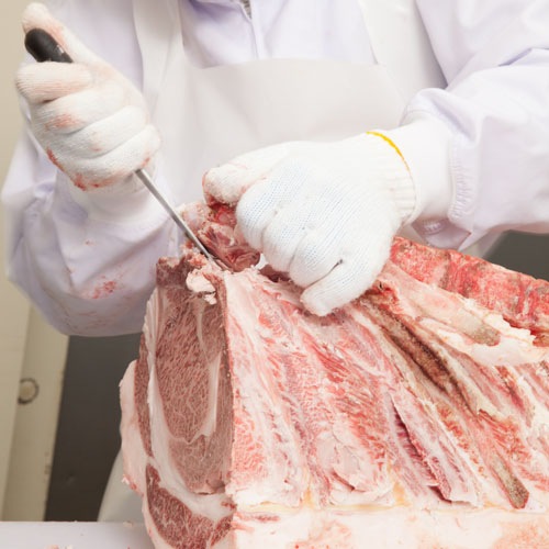 5���顦����Τ߸����������������������Ƥ�