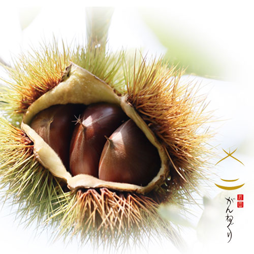 �·��Ǻ�������γ���Τ���Ȥ󡡡ڤ���ͷ�����ۢ�����Ȣ�����ܥ��åȡ�