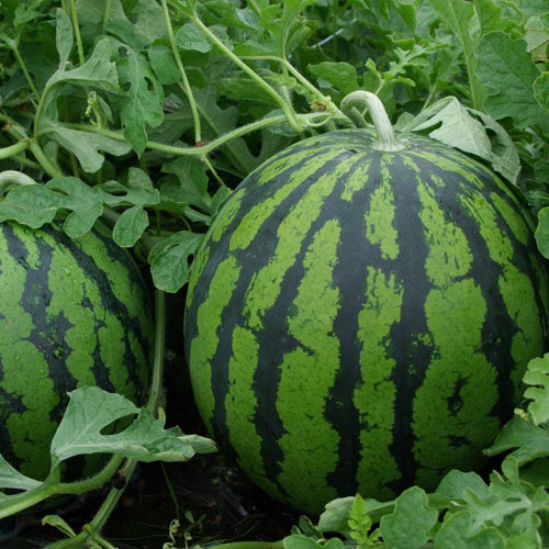 ڸ20̡   ʤ1̡Lˢϴ7ܡ8