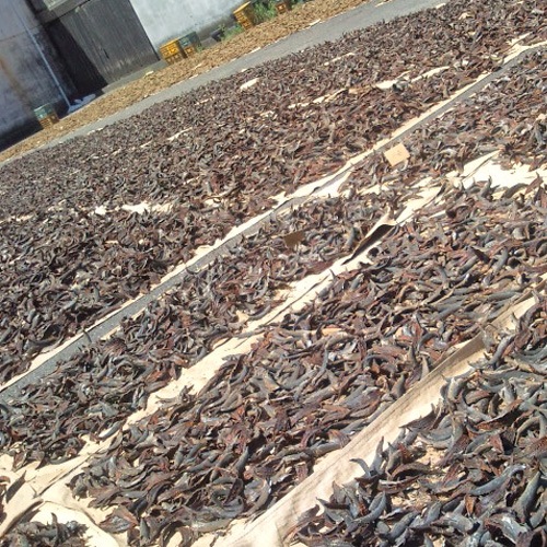 ڹθں建ۤɤǤ뽡ᡡ