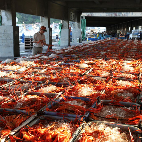 �����դ����饹���þ峪����ѡ��ȥ��磻���ˡֹύ���ˡ׹�������ʲ���Ȣ����