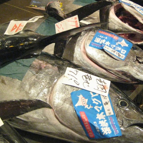 ͽŷڳ ǾŷܥޥȥȥֿȤΥå(5)912 ߡۢ12/2512/27ͽ