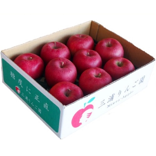 £ѡɽ쥷աĿʥΥȡ3kg11ܡ12