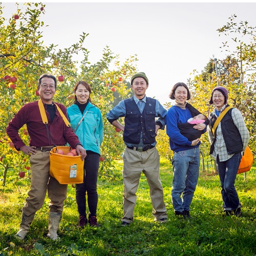 1ʬδϤ󤴤Ѥ󤴥꡼åȡʥդ8ġʼ浪ޤ4ġ