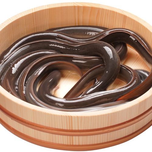 �˾夦�ʤ��ӡ�4�ĥ��åȡʴξƤ��դ���