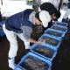 ٲѻ Ȥ餹Ȥӡ2糧å()