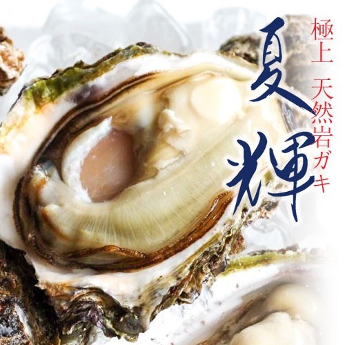 ŷ֥ɴ䲴ڡ۵դǳͤäֲƵ3ĥåȡ6/18/31