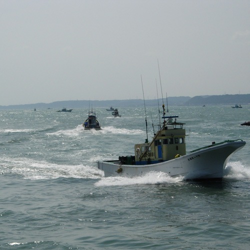 �ٲ��ѻ� ���Ȥ����餹�����Ȥ������ӡ�2�糧�å�(��)��