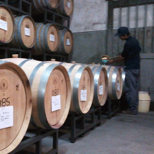 �ڥ�����ơ����磻��۷��ϼ�Х��֥��ǥ��å���1��