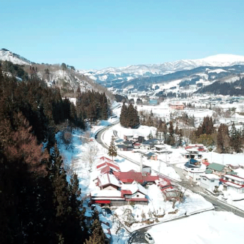 �ڥ�����ơ����磻��۷��ϼ�Х��֥��ǥ��å���1��