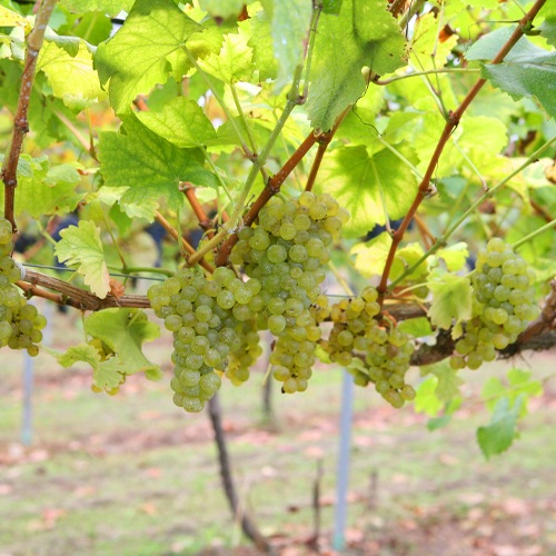 ơڥ󥸥磻2ܥåȡ