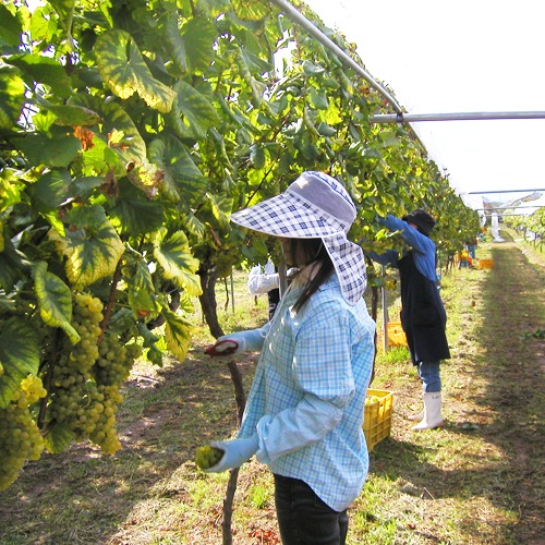 ơڥ󥸥磻2ܥåȡ