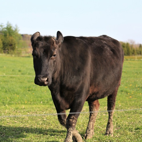 ���������µ��Ǥʤ��Ⱥ��ʤ�̣����¿��å������