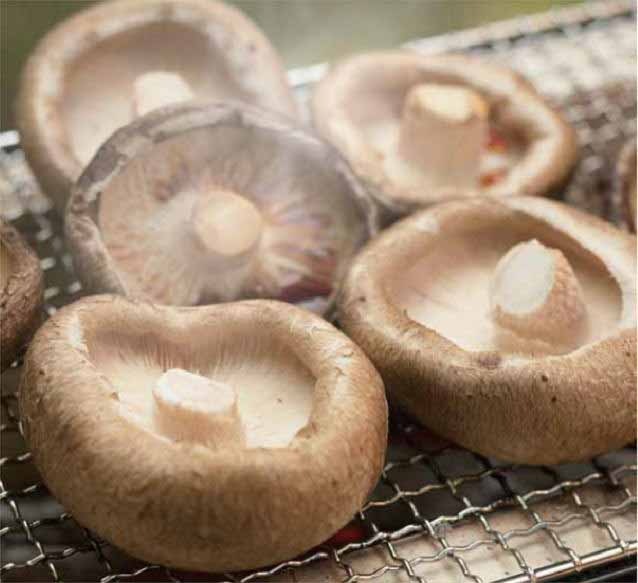 ���縩��������������������������Ȣ������450g��