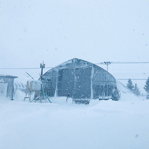 ���̳�ƻ����ڻ��ۥ����ѥ鲦��ο��������������㥢���ѥ��(���꡼��400����ۥ磻��400��)���������ߡ�  ��1���ܡ�1��ܤ˽в�ͽ��