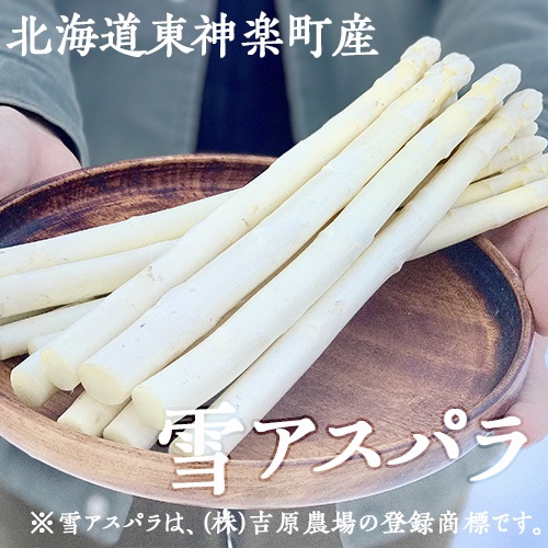 ���̳�ƻ����ڻ��ۥ����ѥ鲦��ο��������������㥢���ѥ��(���꡼��400����ۥ磻��400��)���������ߡ�  ��1���ܡ�1��ܤ˽в�ͽ��