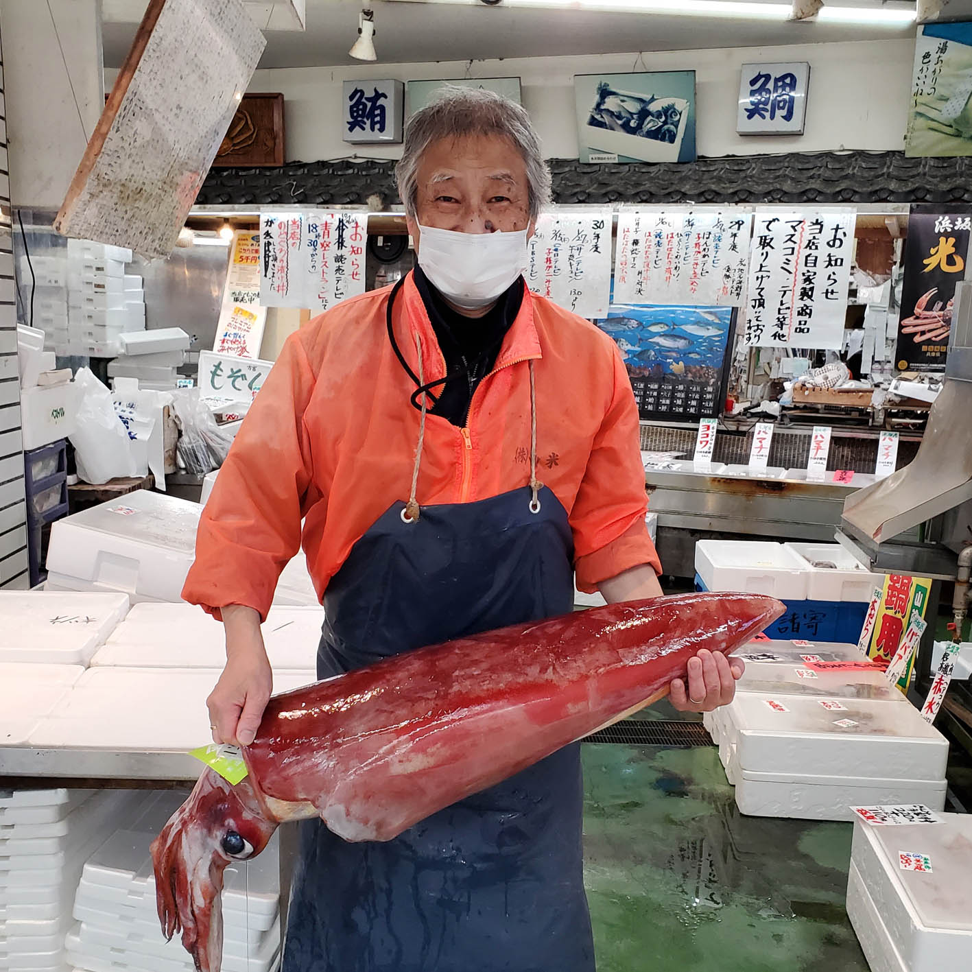 /ʪŸۻܤ֡γͤ줿ƥޥͺϵ ɿ5(57)