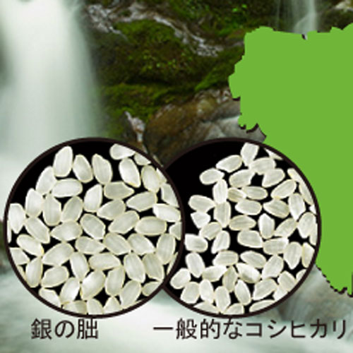 6ǯγ礭ޤǻΤ褦ʤơֶ۬ʤߤŤˡ