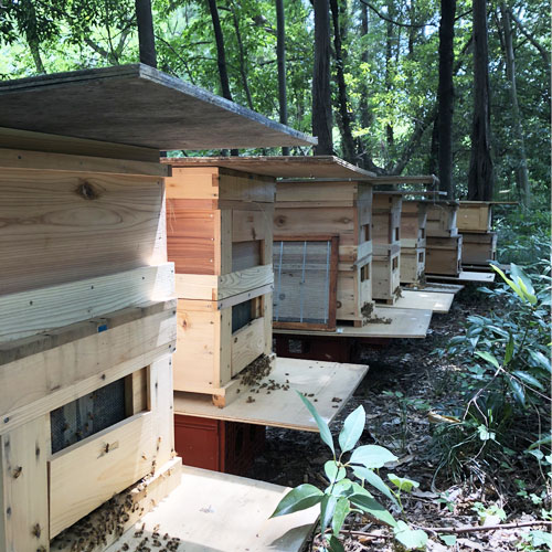 虜 β̣襤١Ϥߤġסʽաơˡ缡в