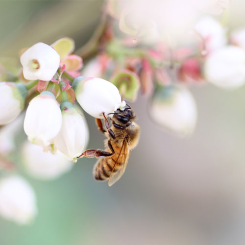 虜 β̣襤١Ϥߤġסʽաơˡ缡в