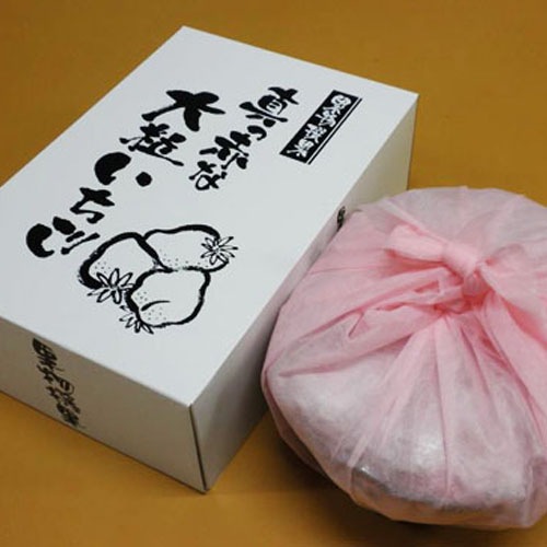 �ڲ��������ۿ����֤���γ�������ӥå���Х����åȢ����ʹ�11��ܡ�4��