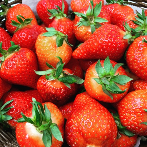 �ڲ��������ۿ����֤���γ�������ӥå���Х����åȢ����ʹ�11��ܡ�4��