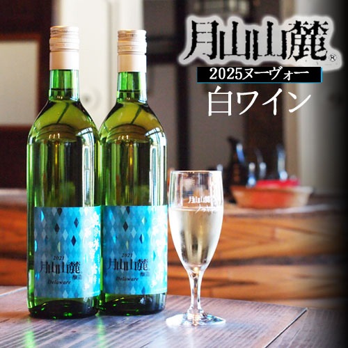 ڿ磻2025ǯٷϼ̡2ܡˢ102ʹ߽вٳ