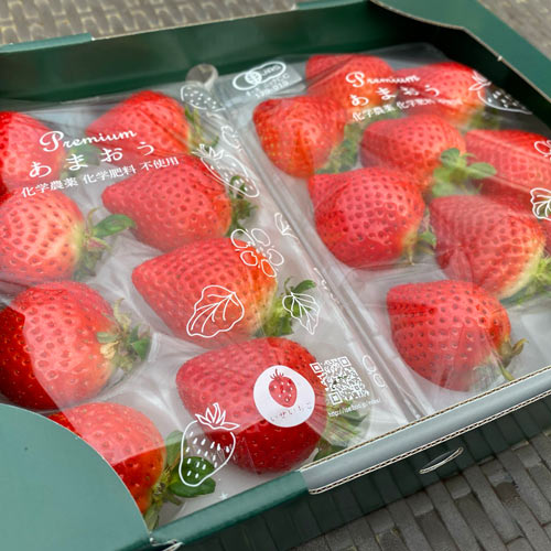 �����祵�����۴�����JASͭ��ǧ�ꡪ���������Ȱ�������Ρ֥������˥å����Ϥ��ޤ����ע����ʹ���12��ܡ�4�����