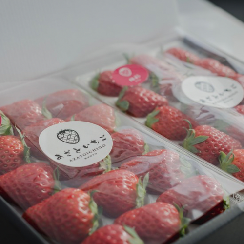 30åȸ۵ܻ ľ֤ȤףPϴ12ܡ3