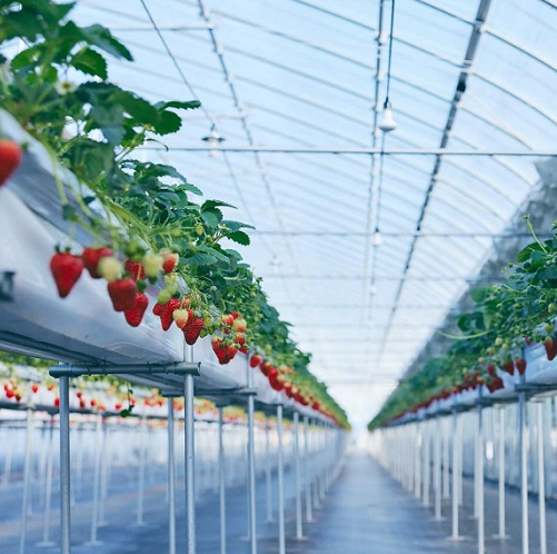 30åȸ۵ܻ ľ֤ȤףPϴ12ܡ3