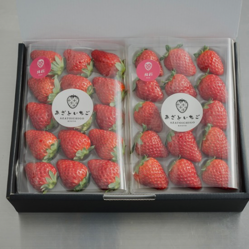 30åȸ۵ܻ ľ֤ȤףPϴ12ܡ3