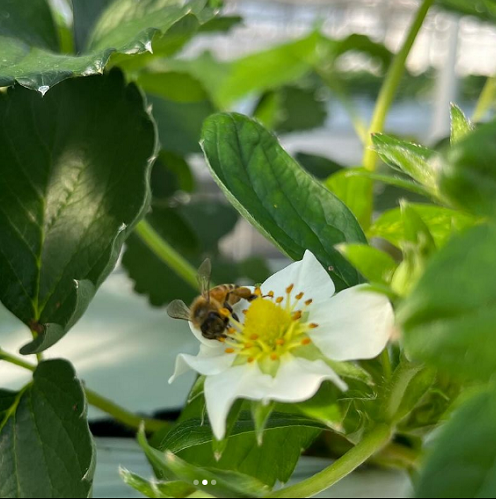 30åȸ۵ܻ ľ֤ȤףPϴ12ܡ3